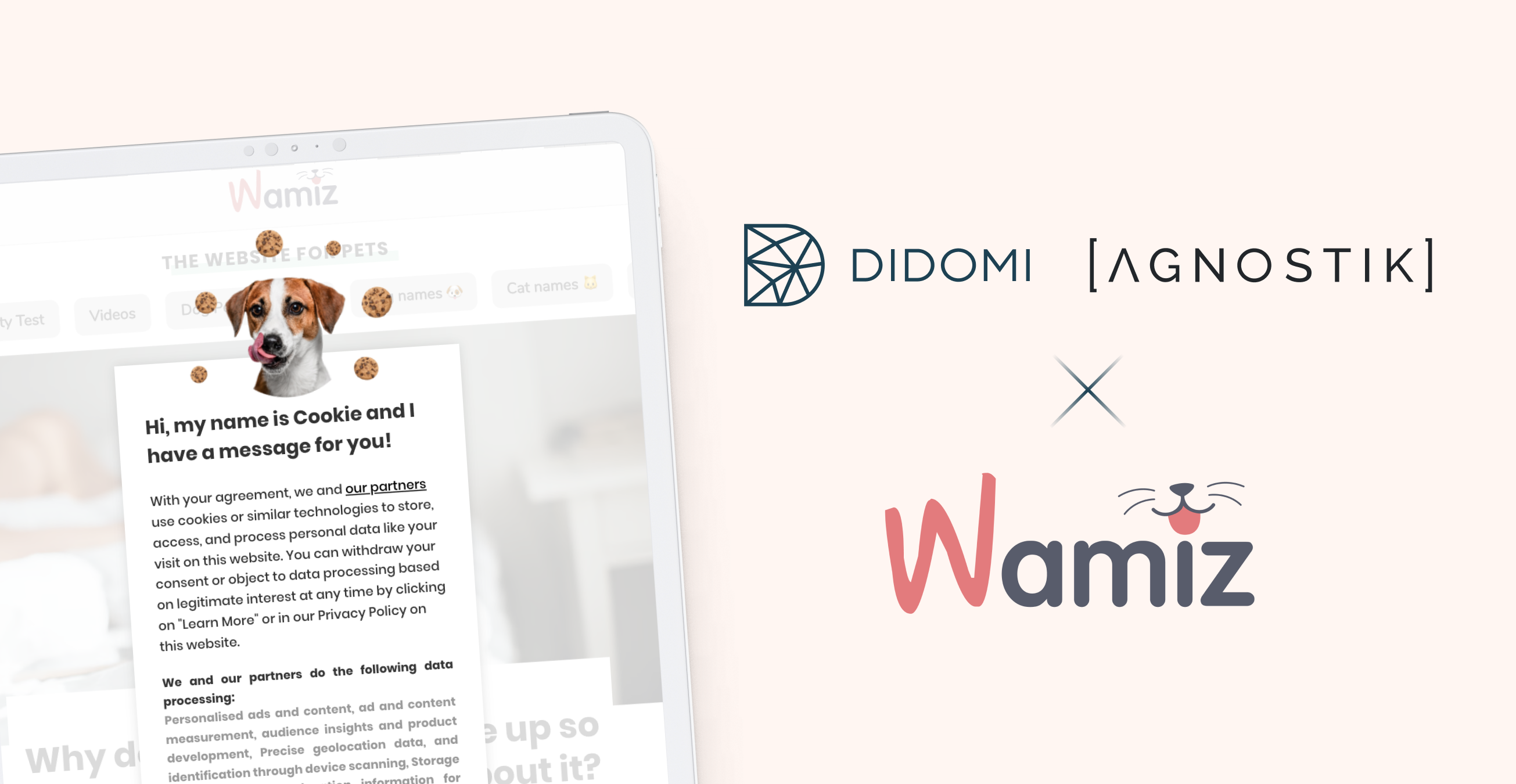 How did Wamiz combine consent and vendors management thanks to the Didomi & Agnostik Solution?